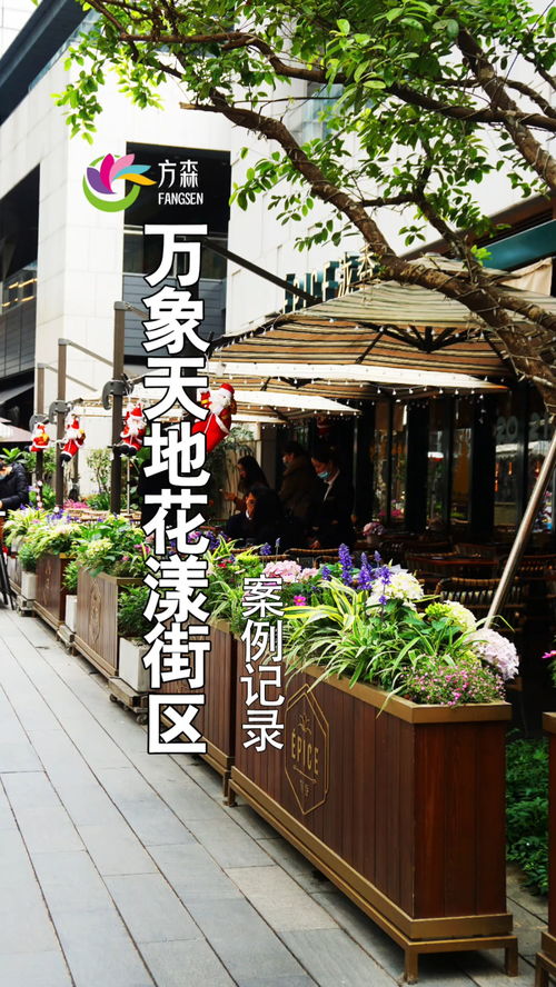 深圳南山萬象天地花漾街區 園林綠化與花境設計的典范