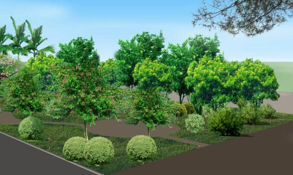 城市園林綠化工程施工中的植物養護策略