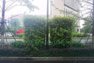 匠心筑綠，典范引航——杭州市2016年度優秀園林綠化工程特色項目觀摩活動側記